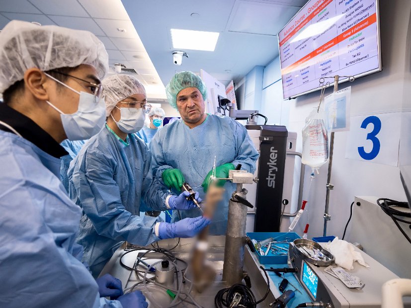 HK Wrist Course 2024 - Workshops  - 77 of 241